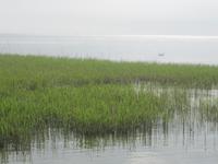 21 Kurische Nehrung Blick über das Haff &ndash; &copy; Carola Seidel (Eberhardt TRAVEL)