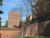 32 Thorn Schiefer Turm &ndash; &copy; Carola Seidel (Eberhardt TRAVEL)