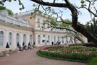Orangerie Peterhof