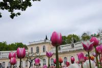 Orangerie Peterhof