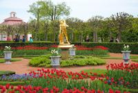 Garten vor Schloss Monplaisir