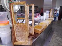 Frischer geht es nicht!