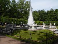 Tannenbaumfontaine Peterhof