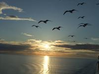 Abendstimmung auf dem Onegasee