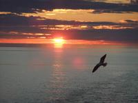 Sonnenuntergang auf dem Onegasee