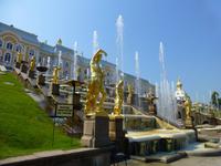 Bei dem wunderbaren Wetter kamen diese besonders gut zur Geltung.