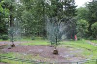 Wasserspiel im Garten des Peterhof