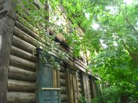 Idyllisches in Krasnojarsk