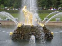 in Peterhof