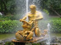 in Peterhof