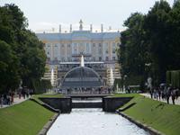 in Peterhof