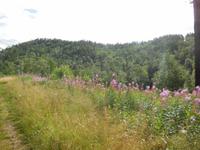 Listwjanka am Bajkalsee