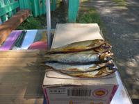 Russland, Burjatien, Baikalsee, geräucherter Omul