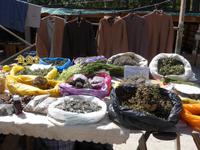 Russland, Tunkatal, Arshan, Gewürze am Mong. Markt