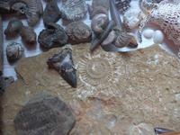 Russland, Sljudjanka, im Mineralienmuseum