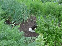 Russland, Baikalsee, Polovinnia, 