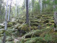 Russland, Baikalsee, Polovinnia, 