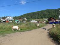 Russland, Listvjanka, Dorfidylle