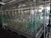 Russland, Selengadelta, Omul-Fischaufzuchtstation