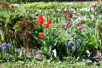 Frühling in Peterhof