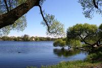 Am Alex House in Peterhof