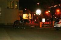 Abends in St. Petersburg