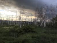 Aussicht
