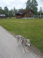 DSCN3401