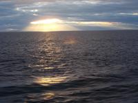 DSCN3499