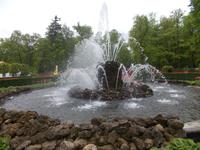 DSCN3637