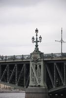DSC_ 0226.JPG