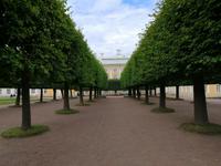 Der Obere Garten