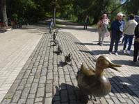 Entenfamilie