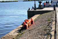 Hafen von Kronstadt