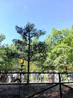 IMG_20190616_150826