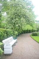 Idylle in Peterhof