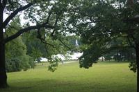 Im Katharinenpark 