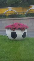 Immer noch im Fußballfieber