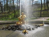 In Peterhof