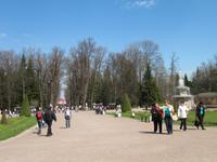 In Peterhof