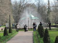 In Peterhof