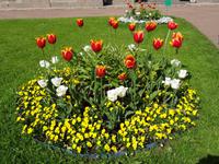 Katharinen-Palast in Puschkin, im Garten