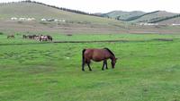 Mongolei, bei der Zencher Quelle