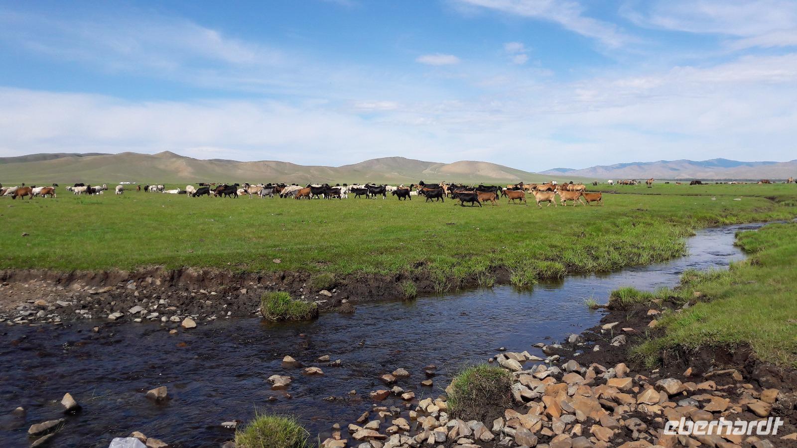 Mongolei