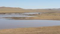 Mongolei