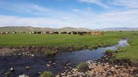 Mongolei