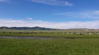 Mongolei