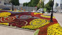 Moskau, Hotel Ukraine, Blumenschmuck