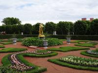 Peterhof - im Garten vor dem Monplaisir Palast
