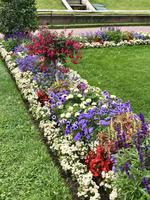 Peterhof: Im Park